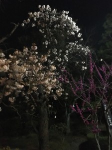 AC26980C-FAB4-4A53-B518-EA4128E5DA94