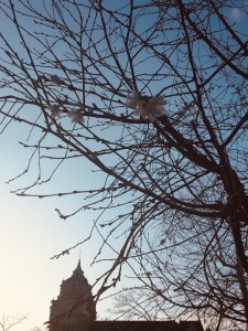 AF626ABB-14F6-40E9-89EF-1B6A3CEA632F