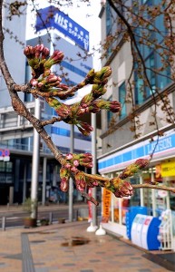 3C87E60F-B5E7-4FFC-AFAB-03A6564C3856