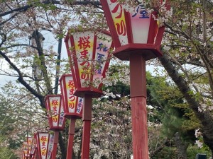開成山大神宮桜祭り_220413_5